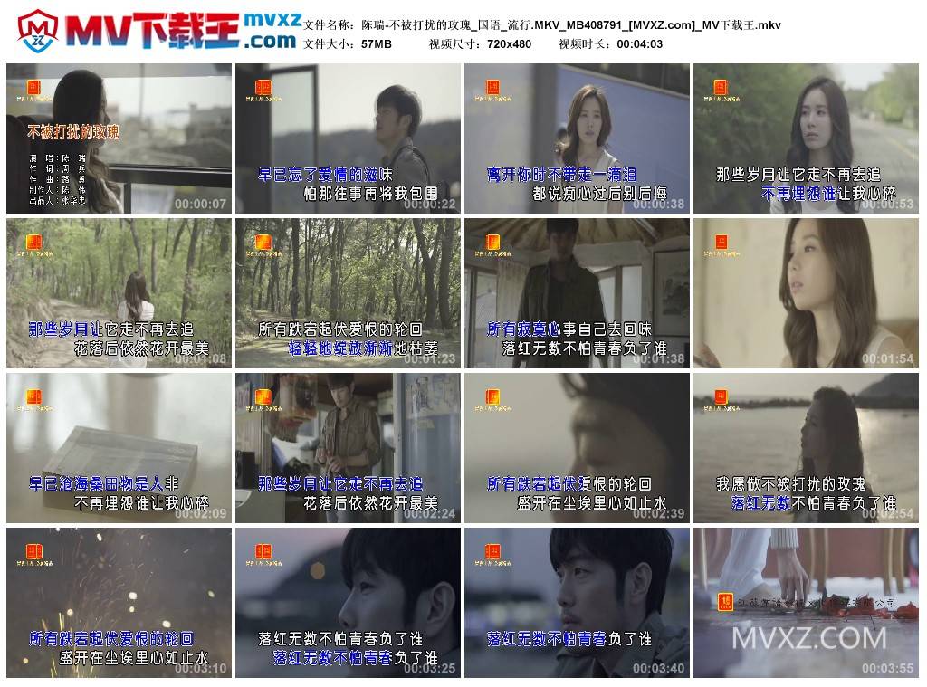 陈瑞-不被打扰的玫瑰_国语_流行.MKV_MB408791